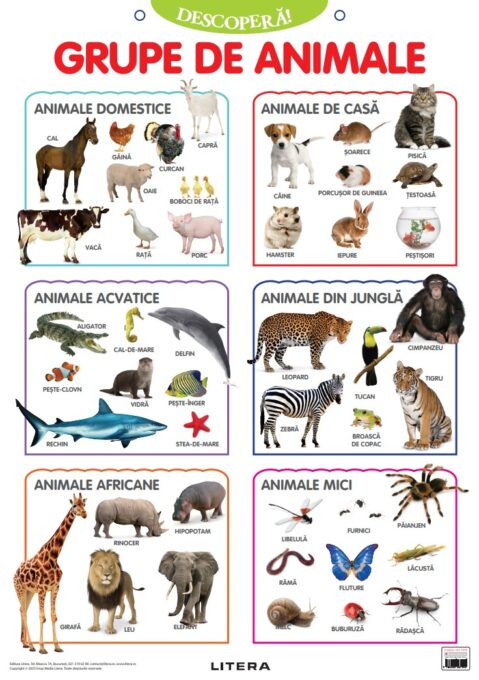 Descopera! Grupe de animale (planse educationale) Descopera! Grupe de animale (planse educationale)