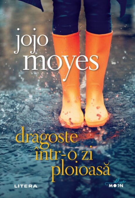 Dragoste într-o zi ploioasă Dragoste într-o zi ploioasă