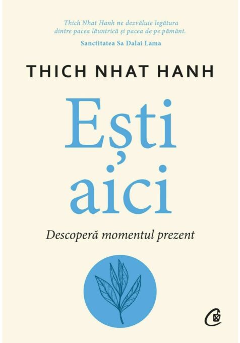 Esti aici. Descopera momentul prezent Esti aici. Descopera momentul prezent