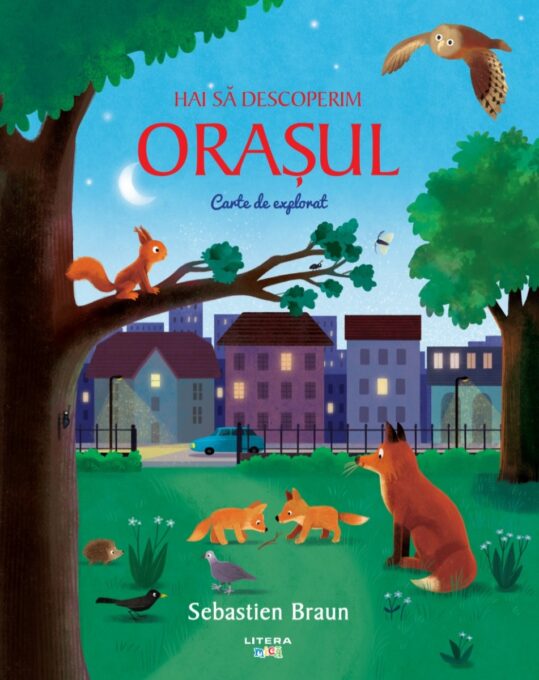Hai sa descoperim orasul. Carte de explorat Hai sa descoperim orasul. Carte de explorat