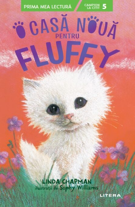 O casa noua pentru Fluffy (Nivelul 5) O casa noua pentru Fluffy (Nivelul 5)