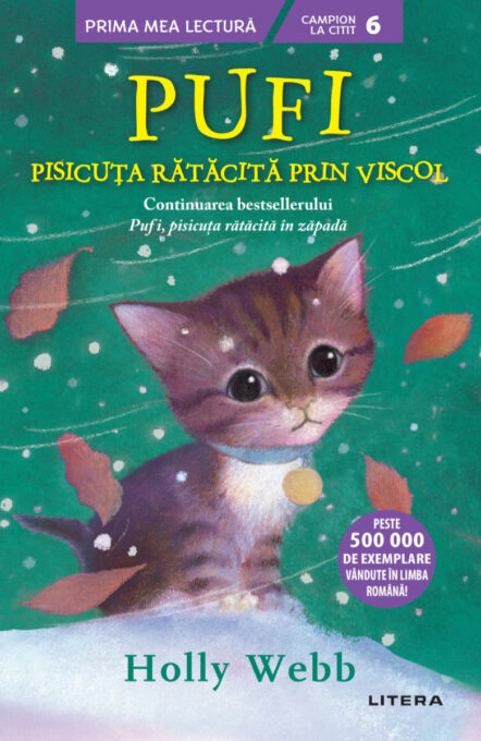 Pufi, pisicuța rătăcită prin viscol Pufi, pisicuța rătăcită prin viscol
