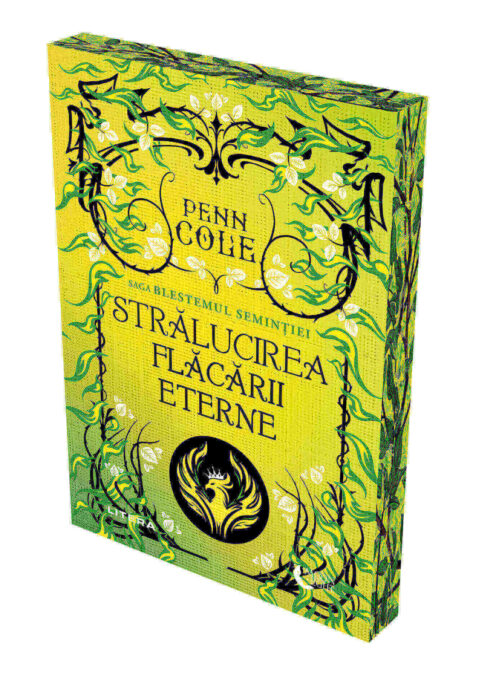 Stralucirea Flacarii Eterne Stralucirea Flacarii Eterne
