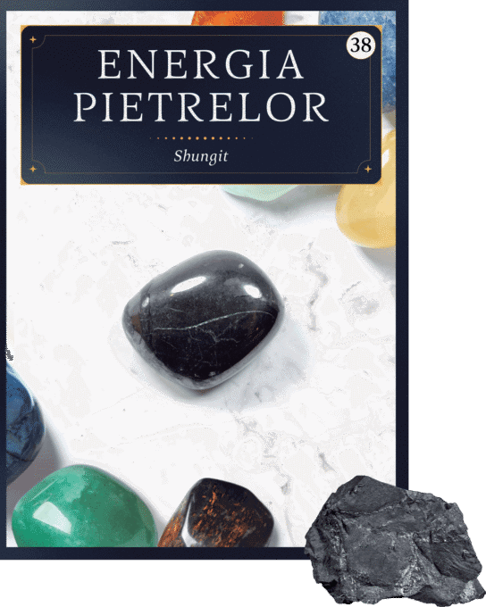 Shungit. Volumul 38. Energia pietrelor Shungit. Volumul 38. Energia pietrelor