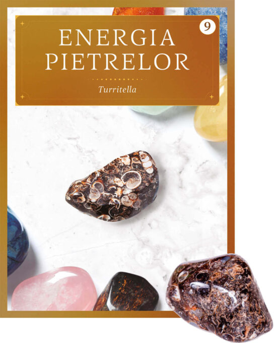 Turritella. Volumul 9. Energia pietrelor Turritella. Volumul 9. Energia pietrelor