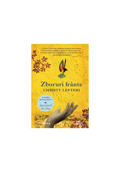 Zboruri frante